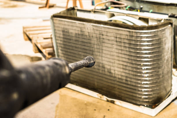 Best Professional Duct Cleaning Services  in Ladd, IL