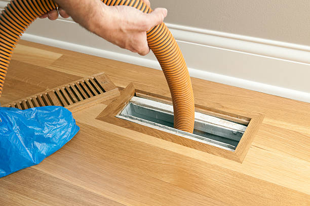 Best Air Duct Inspection  in Ladd, IL