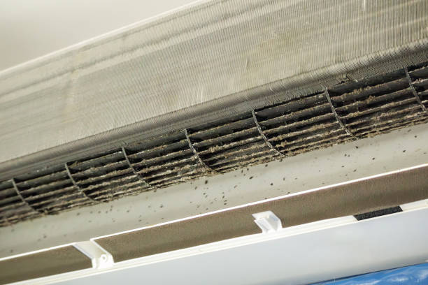 Best Ductwork Cleaning Services  in Ladd, IL
