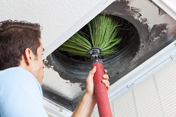 Best Home Air Vent Cleaning  in Ladd, IL