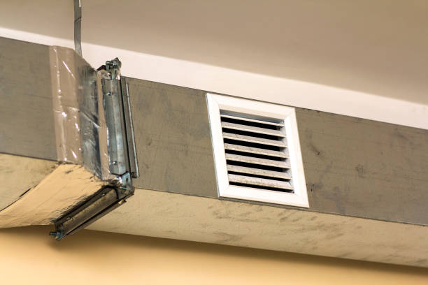 Best Air Duct Cleaning Near Me  in Ladd, IL